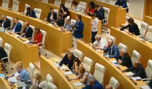 Грузинский парламент. Фото: скриншот YouTube