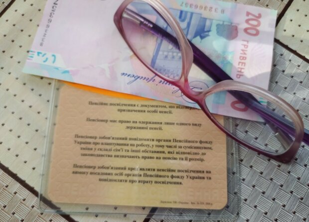 Пенсионное удостоверение. Фото: ukrainianwall