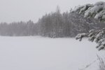 Природа. Фото: скриншот YouTube-видео