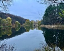 До +14, а потім мороз і знову тепло: синоптик Діденко дала прогноз на п'ятницю та аж до понеділка