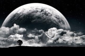 Гороскоп на 29 февраля 2020 года