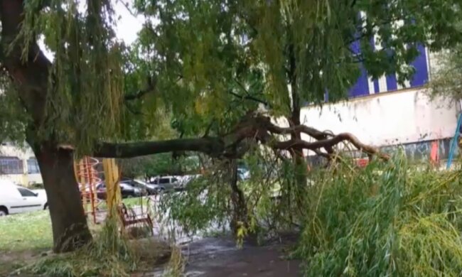 Харьков . Фото: скриншот YouTube