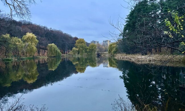 До +14, а потом мороз и опять тепло: синоптик Диденко дала прогноз на пятницу и аж до понедельника