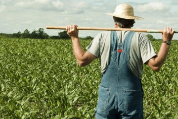 Податок скасовується: українцям дозволили не платити за свої земельні ділянки – кого торкнеться