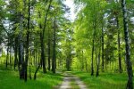 Отдых на природе в Киеве может обойтись слишком дорого: жителей столицы предупредили о правилах