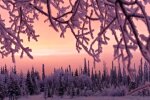 Природа. Фото: скріншот YouTube-відео