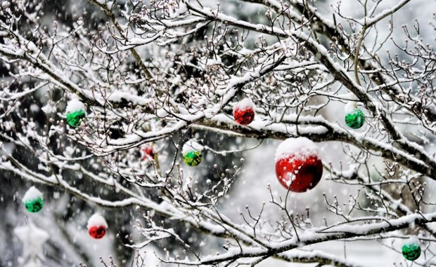 Погода в Украине на зимние праздники, фото - Главред