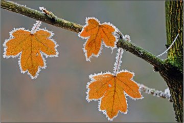 Погода на 23 ноября 2019 года