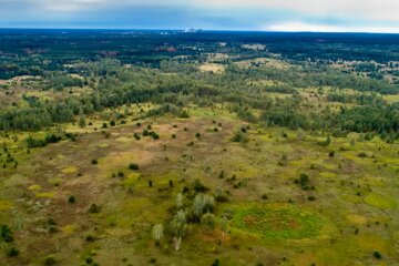 Чорнобильський заповідник. Фото: скріншот YouTube-відео