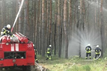Борьба с огнем на Луганщине. Фото: скирншот Youtube