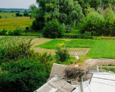 Погода, літо, синоптики. Фото: Стіна