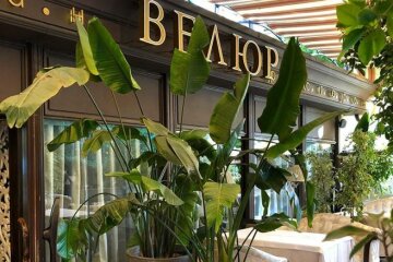 "Плевали они нам в лицо": в Киеве "Велюр" продолжает нарушать карантин, украинцы в бешенстве