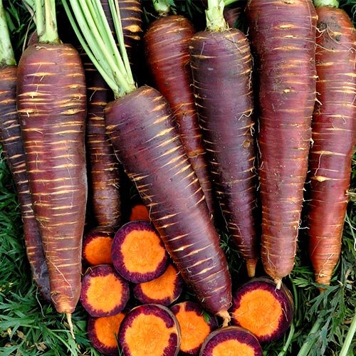 Настоящий цвет морковки - фиолетовый! А вы об этом даже не знали