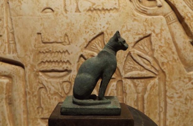 Это любопытно: археологи рассказали, почему у египтян кошки считались священными животными