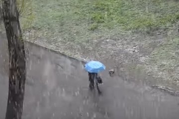 Синоптики прогнозируют мокрый снег и ночные заморозки в Украине. Фото: скриншот YouTube