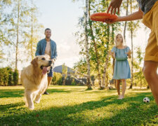 Веселі ігри із собакою: розвага для всієї сім'ї