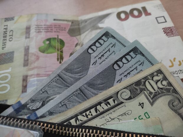 Доллары и гривны. Фото: Стена