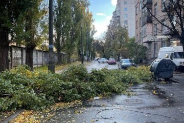 Дикая стихия накрыла Киев: валит деревья и сносит крыши - фото и видео