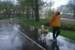Погода на выходные. Фoто: скриншот Youtube