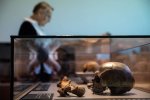 Ученые о человечестве, фото: Ferra.ru