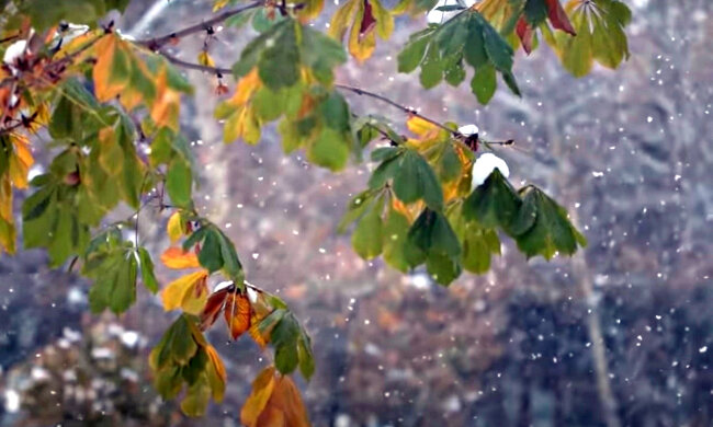 Погода в Україні. Фото: скріншот YouTube-відео.