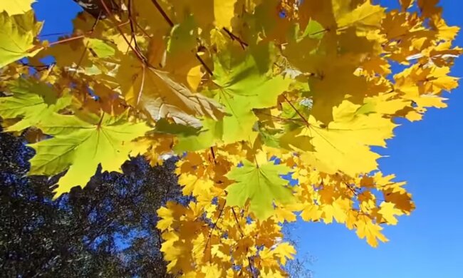 Погода в Украине. Фото: скриншот YouTube