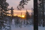 Природа. Фото: скриншот YouTube-видео
