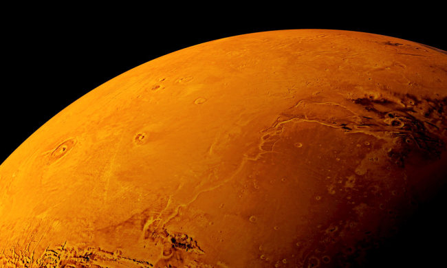 Загадочный скелет жителя Марса: соцсети обсуждают нашумевшее фото астрономов