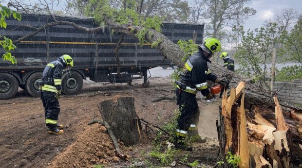 Диденко предупредила о холоде и штормовом ветре: 27 апреля заставит достать шапки — где будет самая плохая погода