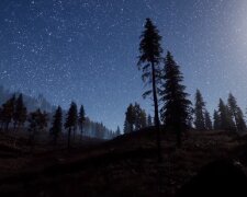 Звездная ночь. Фото: скриншот YouTube-видео