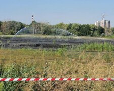Озеро превратили в яму для отходов: в Киеве ТЭЦ уничтожает все живое, что известно