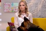 Анна Кошмал: Скриншот YouTube