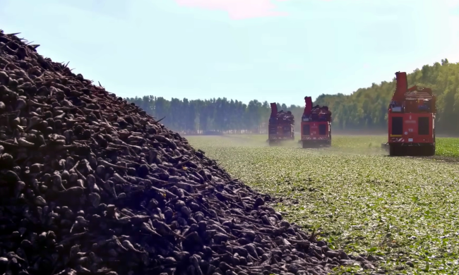 Где в Украине дороже всего продается земля. Фото: YouTube