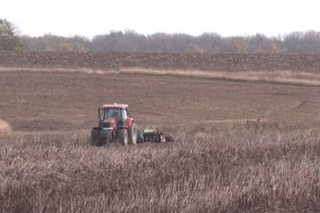 Земельна ділянка. Фото: скріншот YouTube-відео