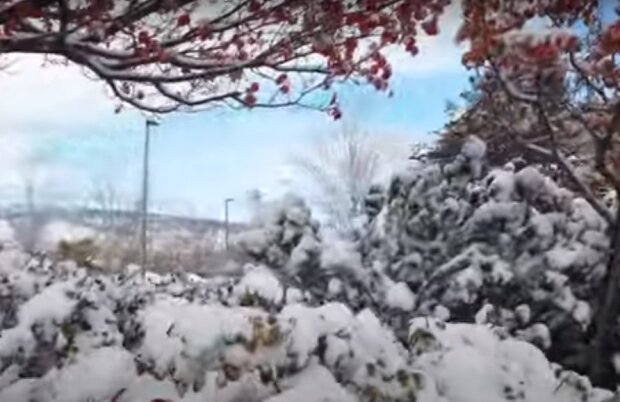 Украину накроет мокрый снег. Фото: скриншот YouTube