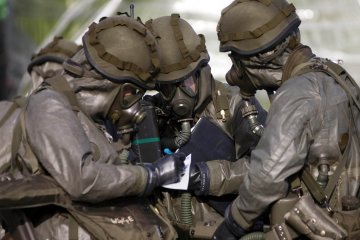 Фото голодной чернобыльской лисы: сеть обсуждает взгляд и оскал зверя