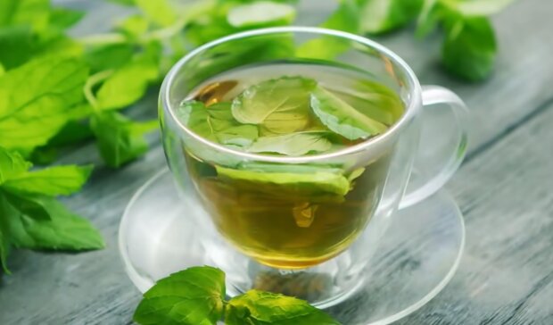 Зелений чай. Фото: YouTube