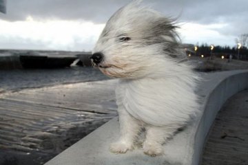 Погода на 22 ноября 2019 года