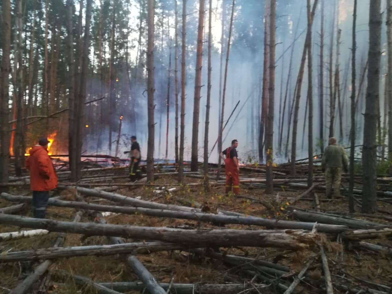 Лесные пожары в Чернобыльской зоне
