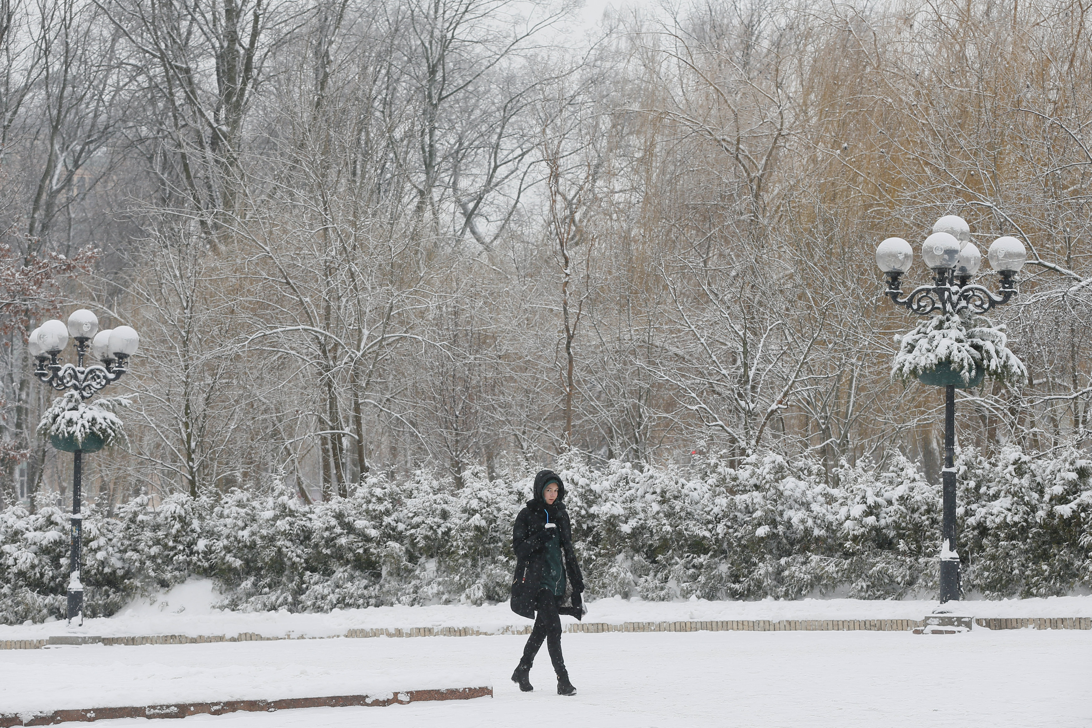 Самая теплая зима. Погодные качели. Погодные качели январь. Зима в Украине прикрути.