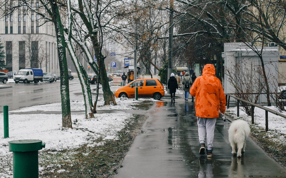 В каких городах сейчас мороз. Теплая зима в Москве. Аномальная зима в Москве. Аномально теплая зима. Снег в Москве.