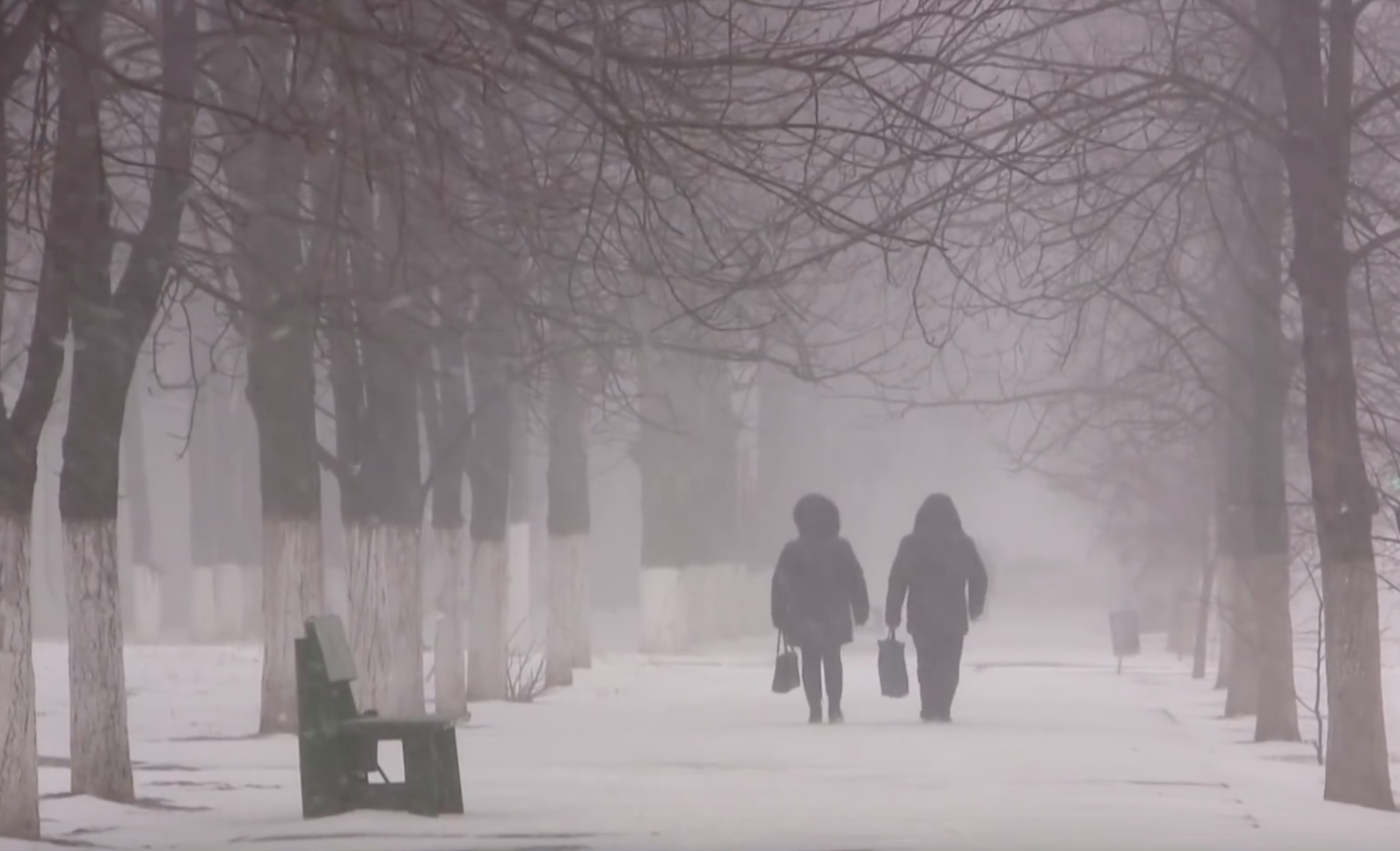 Winter lost. Пришла зима. Она накрыла.