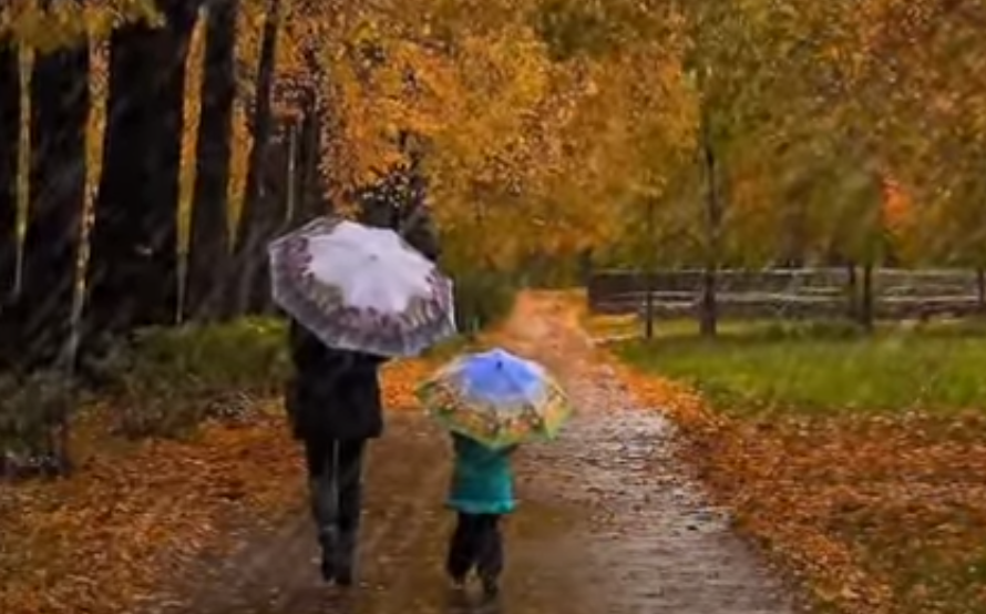 Умеренное тепло. Сентябрь дождь упаковка. Сентябрь дождь на укаковке. Картинка долгожданный сентябрьский дождь в огороде.