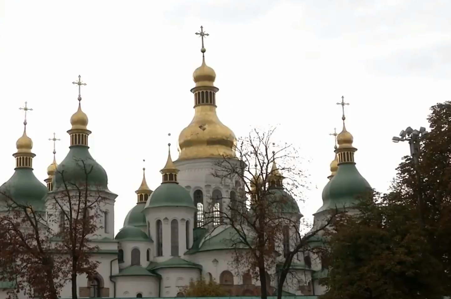 Онлайн курсы по социальному служению