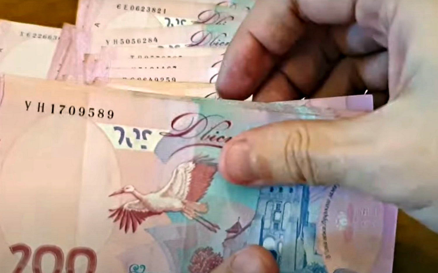Часть ВПЛ получат до 1 июля по 4000 гривен