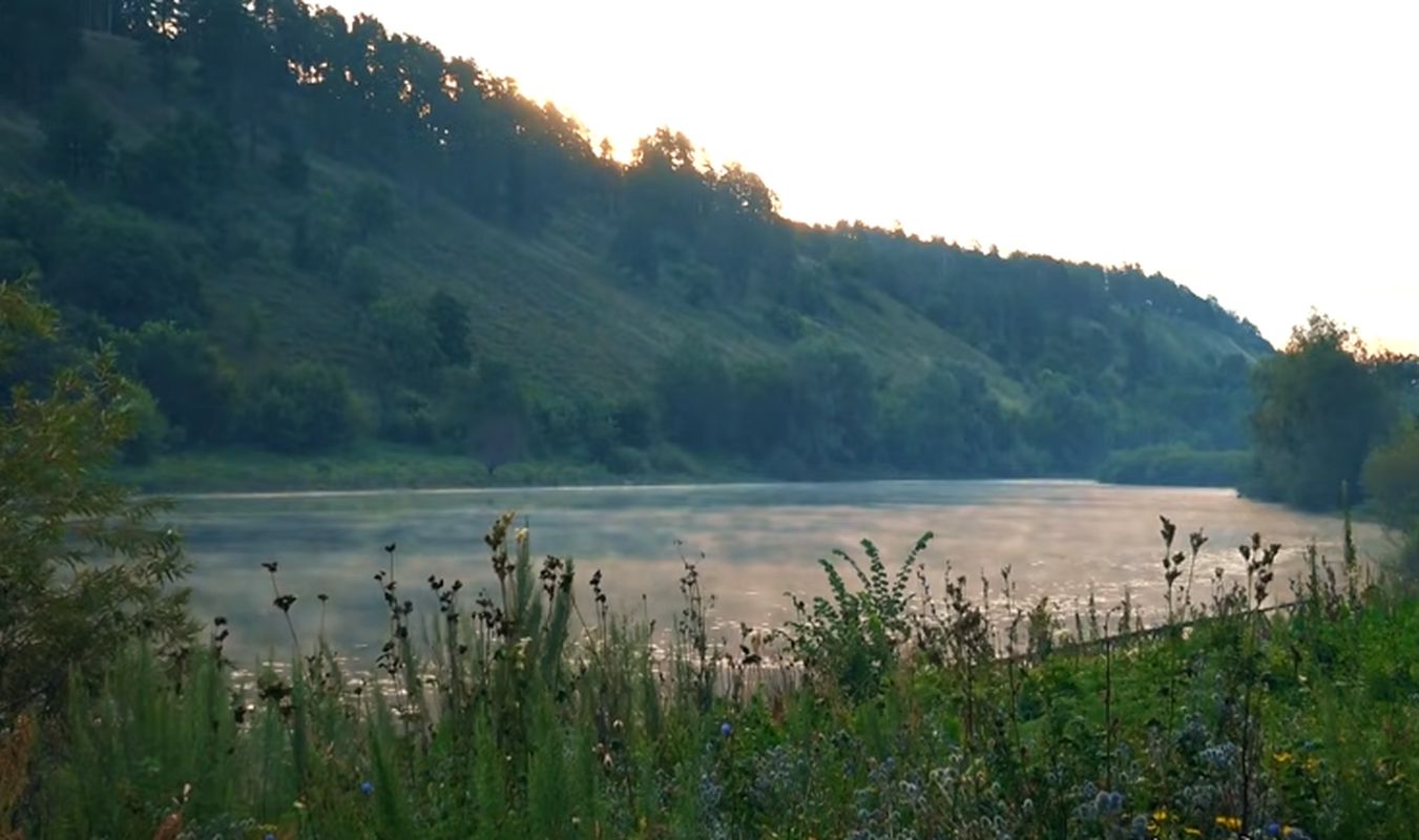 Кватро вьюн над водой