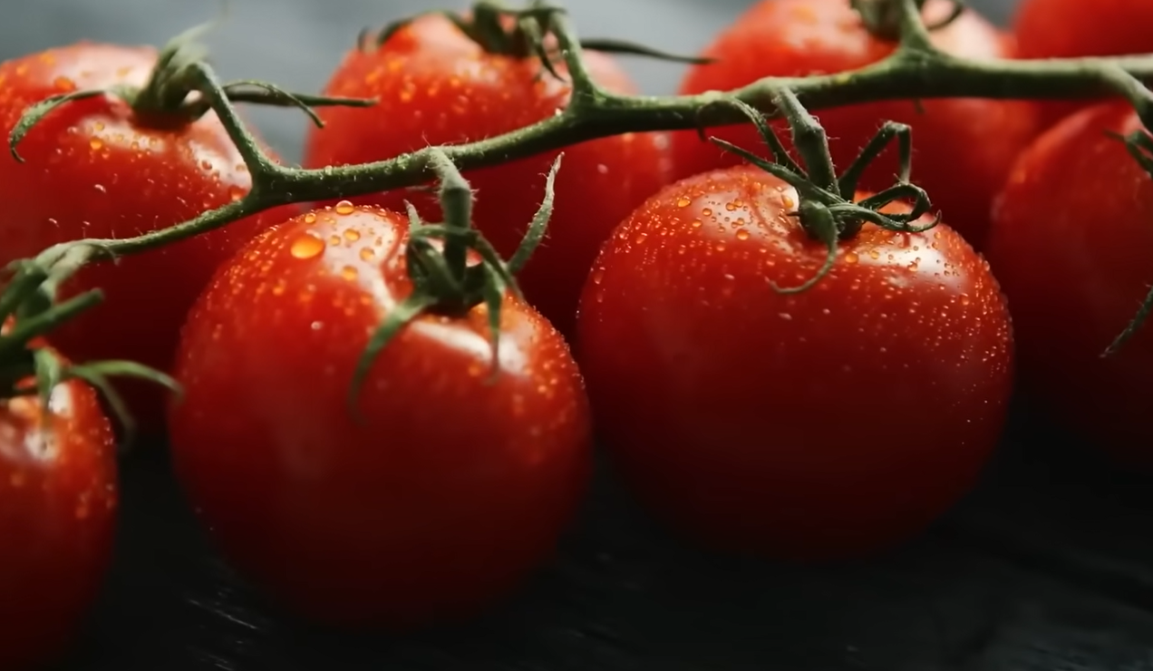 Как правильно собрать семена помидоров - дачники раскрыли секрет